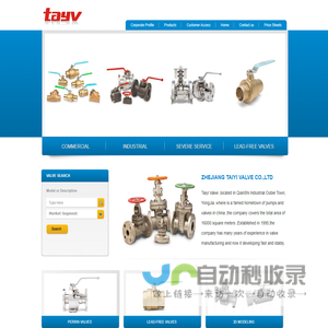 Taiyi Valve